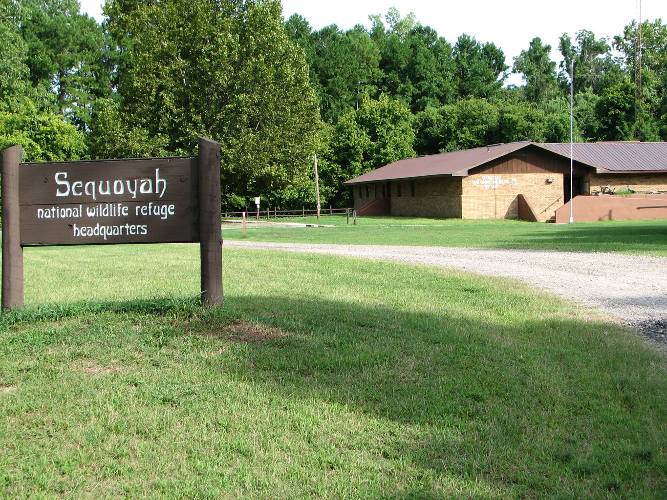 Trip to the Eastern Oklahoma Mountains
