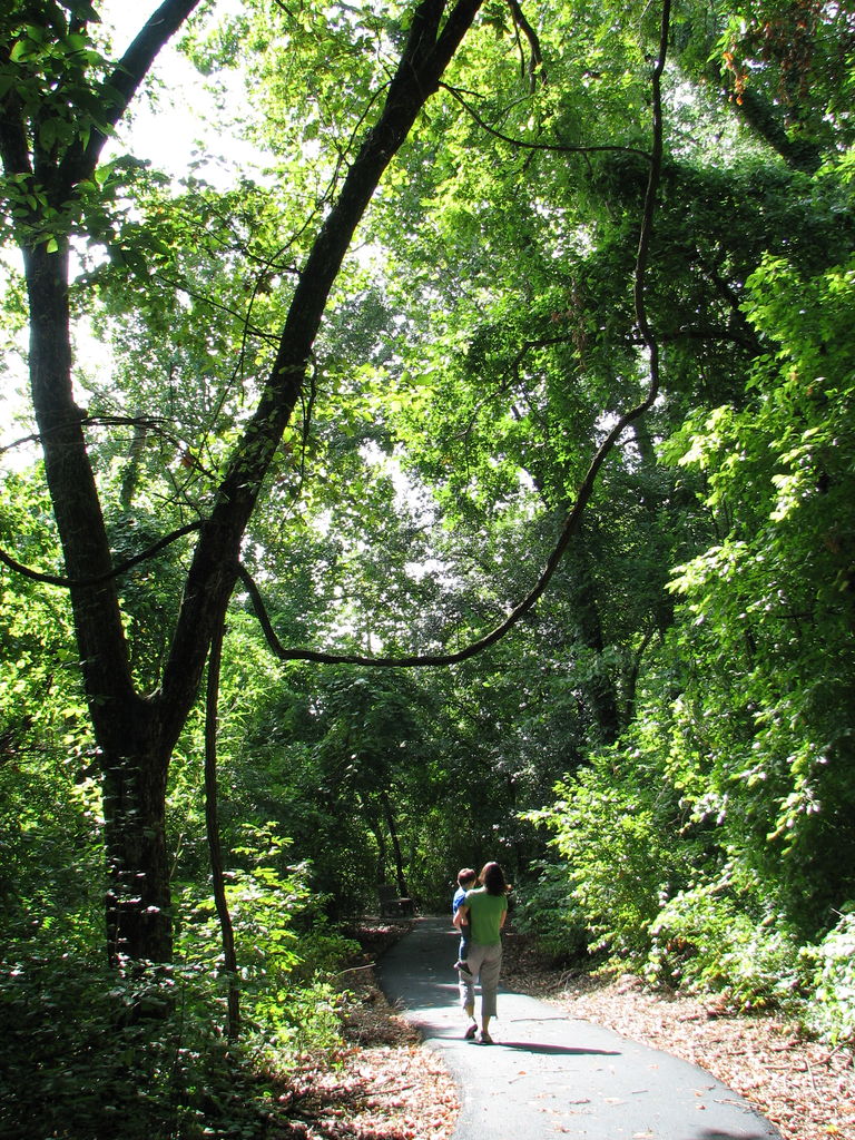 Trip to the Eastern Oklahoma Mountains
