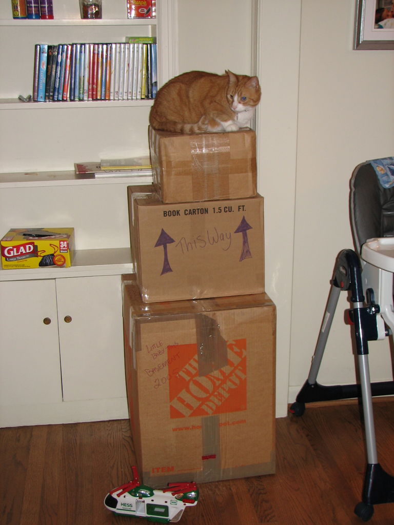 Packing Pictures
