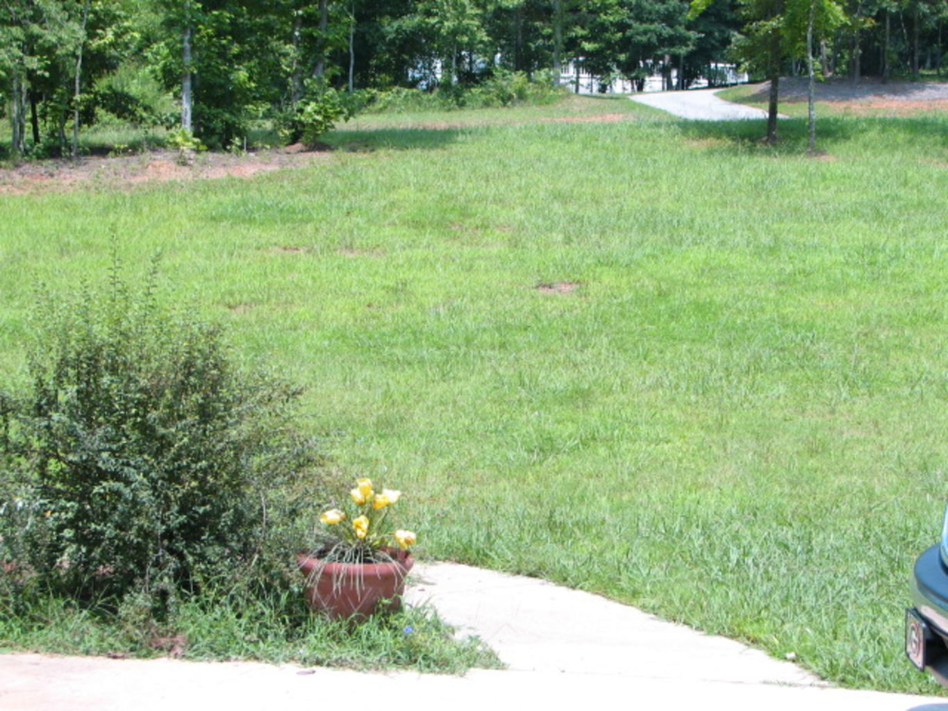 River Ridge - July 2005
