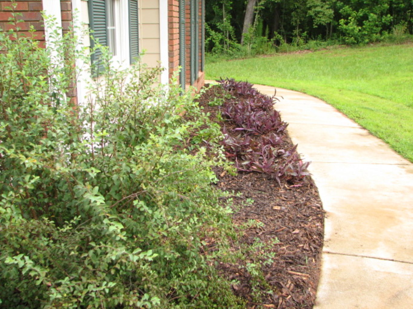 River Ridge - July 2005
