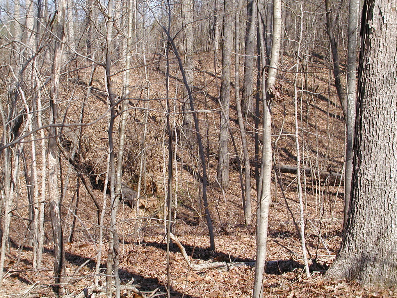 Visit to River Ridge
