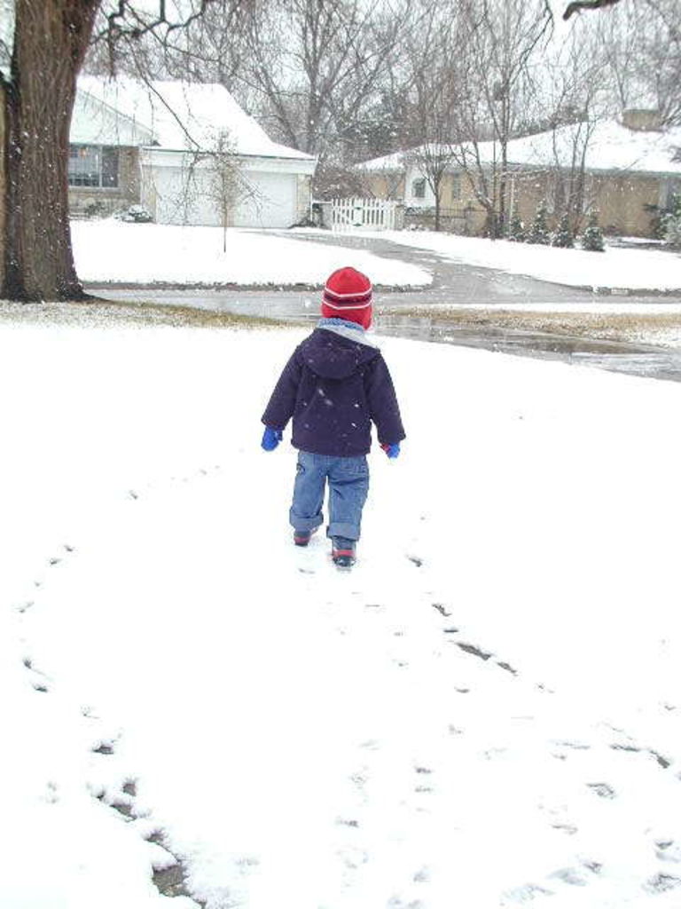 Snow Baby
