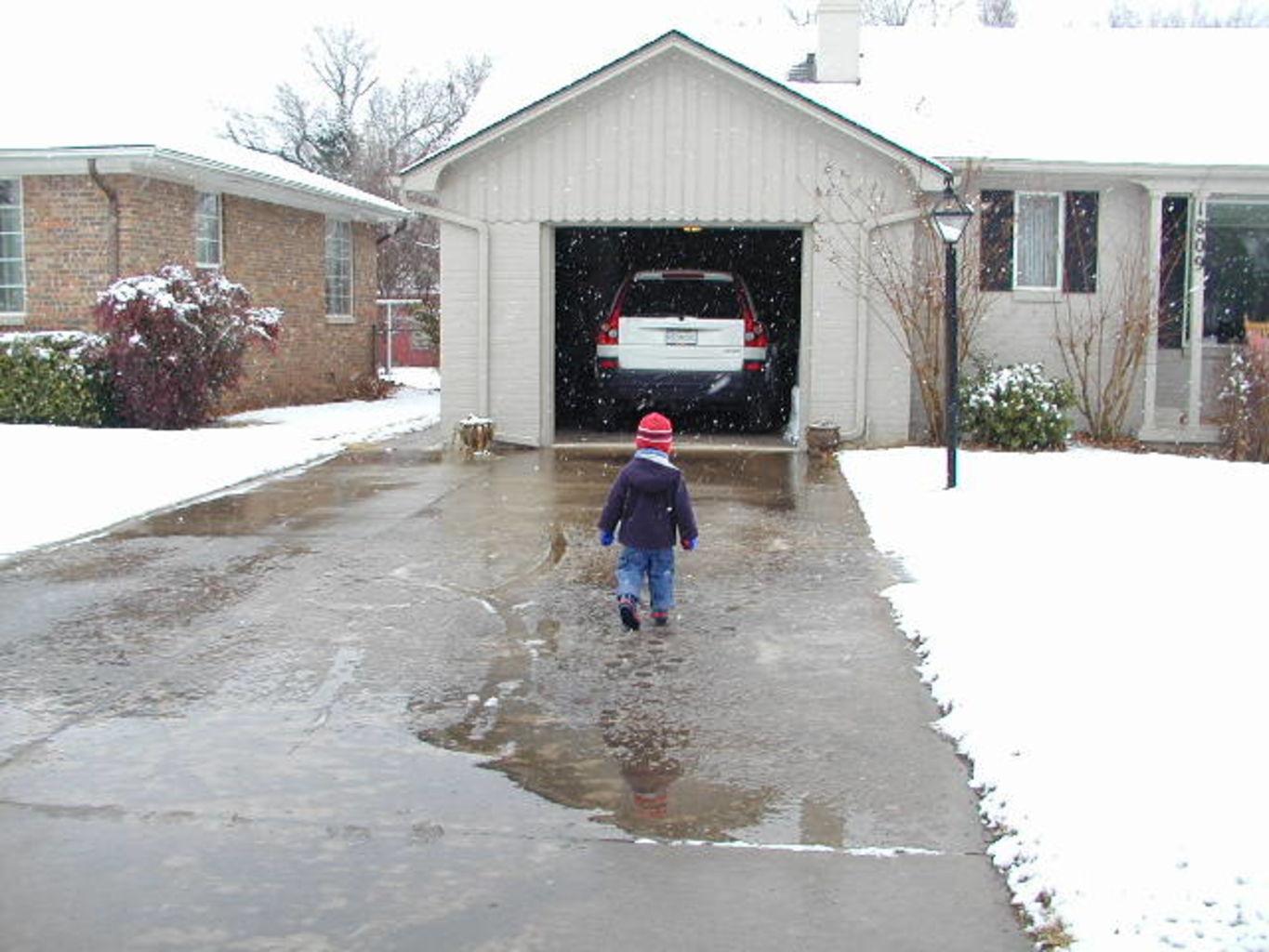 Snow Baby
