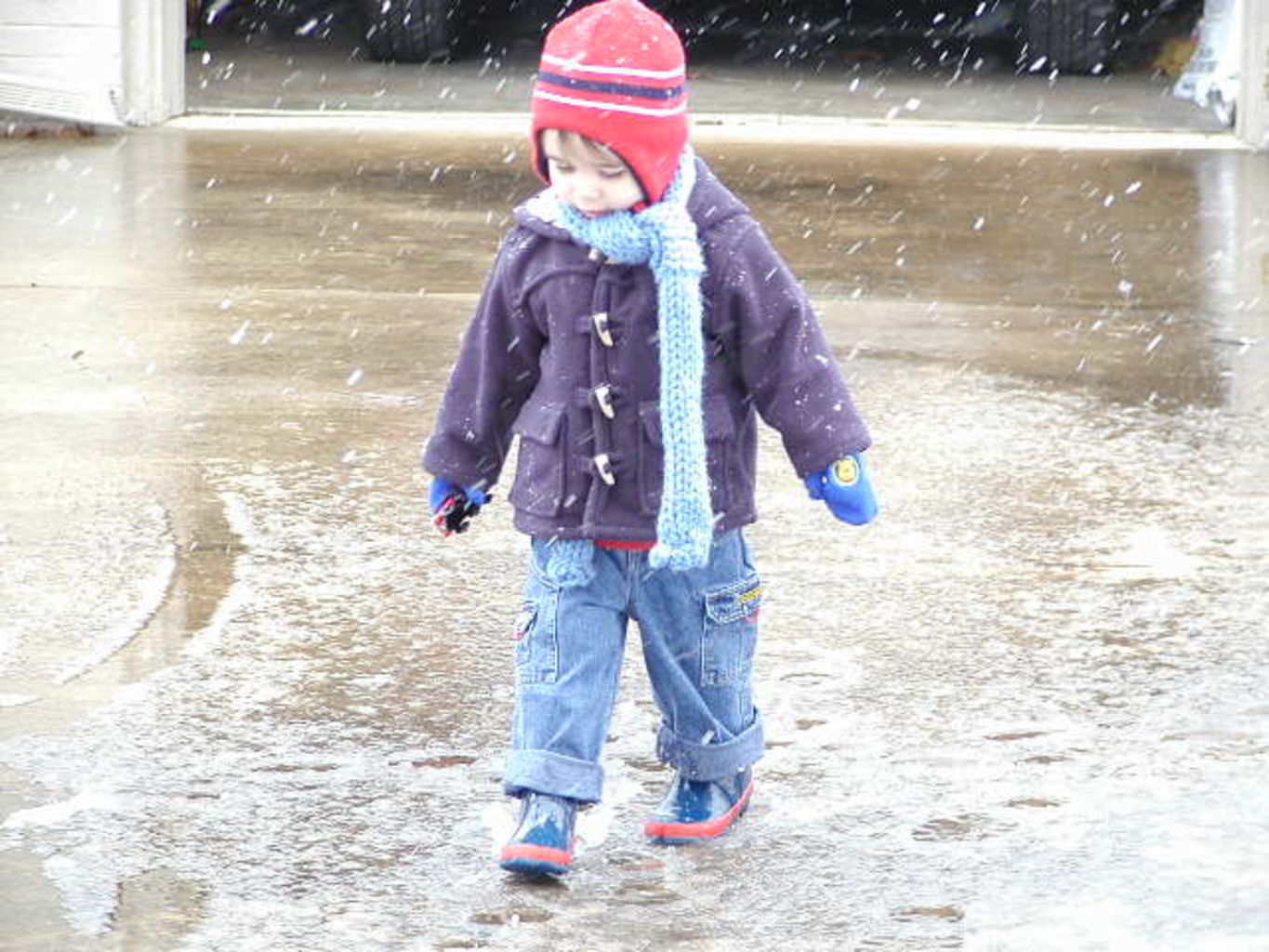 Snow Baby
