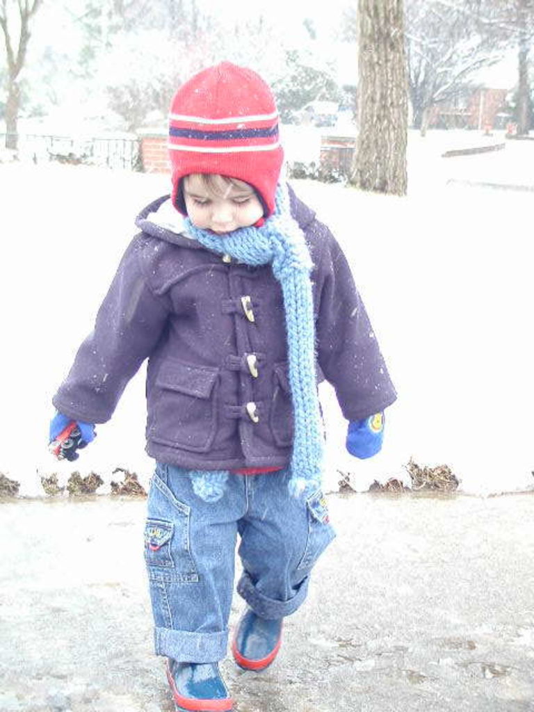 Snow Baby
