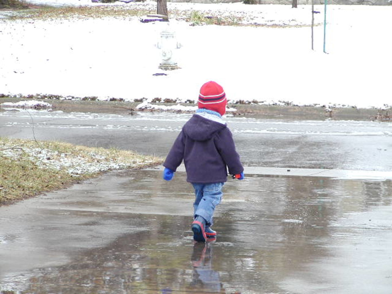 Snow Baby
