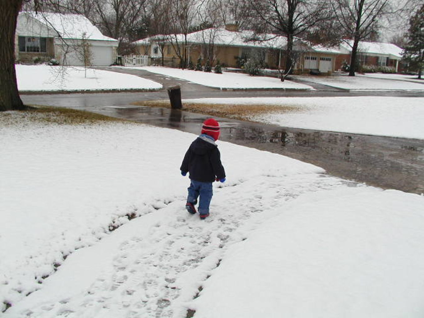 Snow Baby
