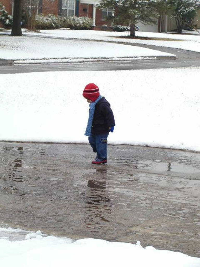 Snow Baby
