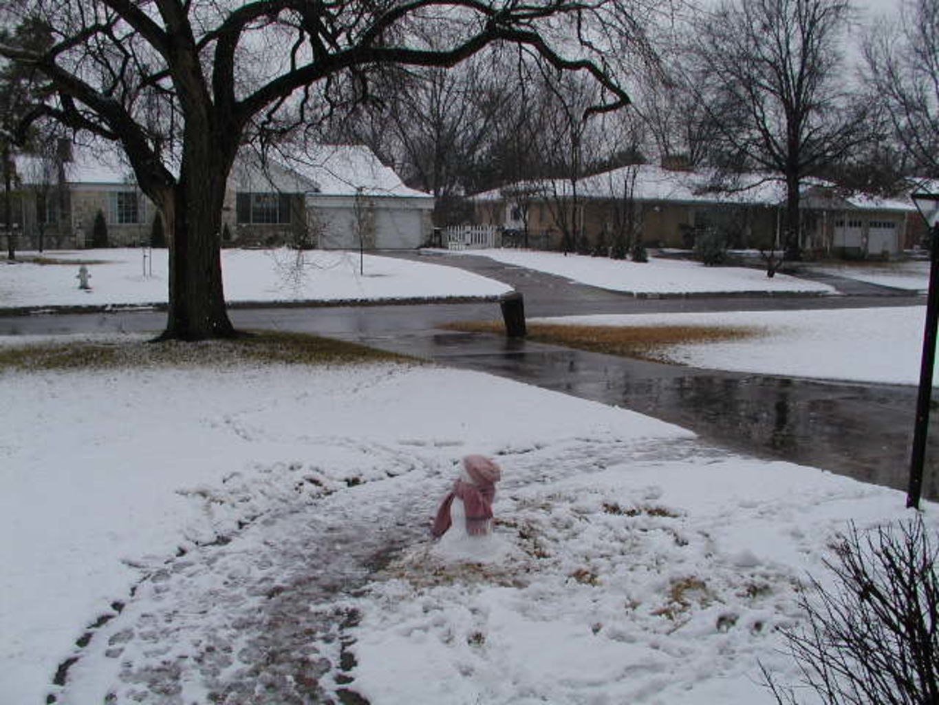 Snow Baby
