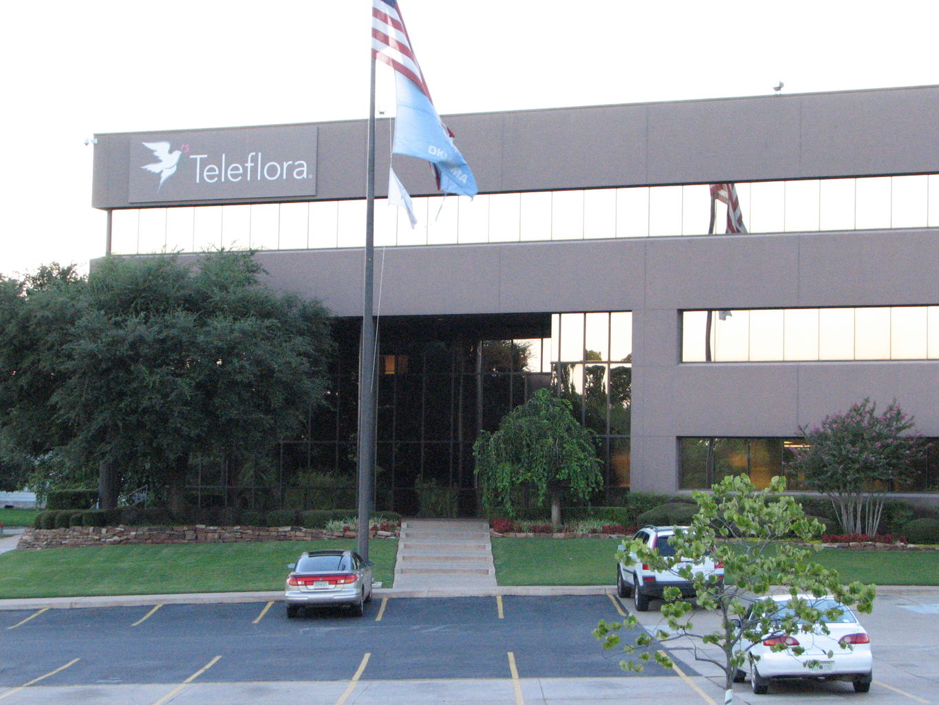 Pictures of Teleflora and the Heat Pumps
