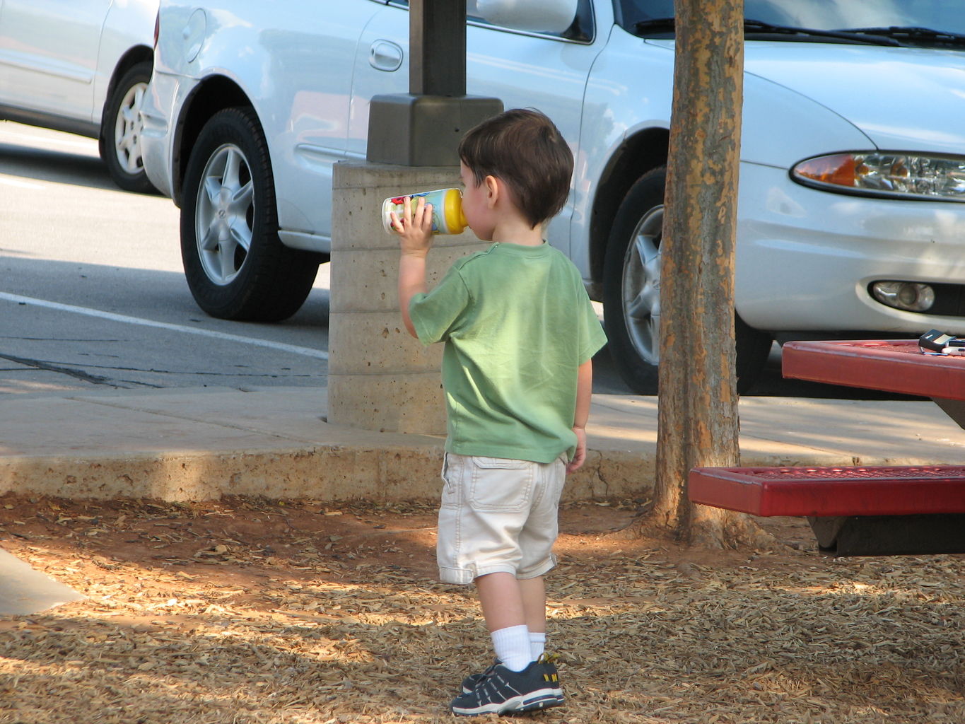 Kachline Family Photos TheMoveBack