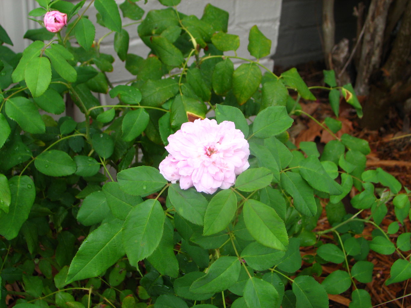 Kachline Family Photos TheMoveBack