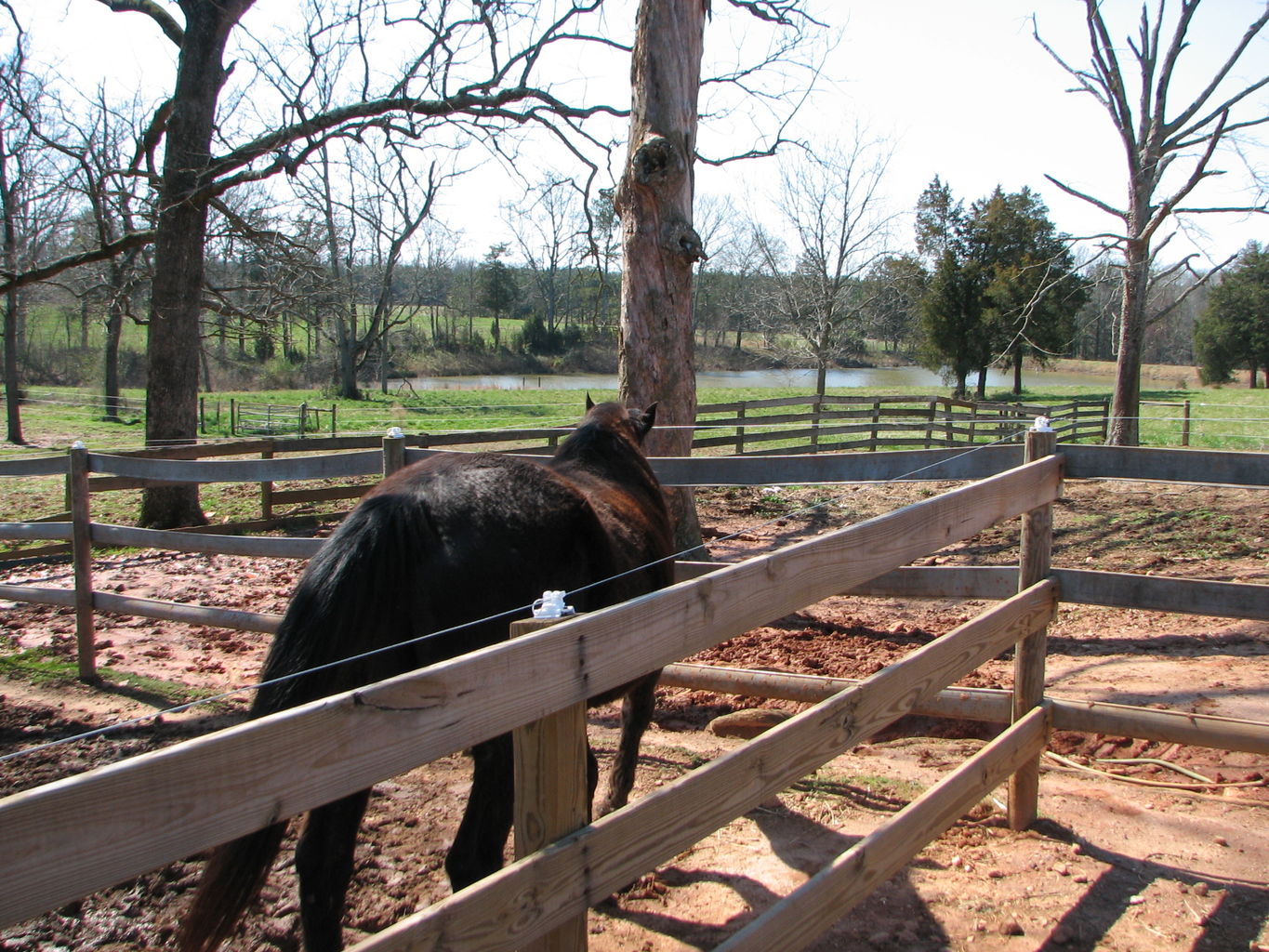 Visiting India at Silverthorn 
