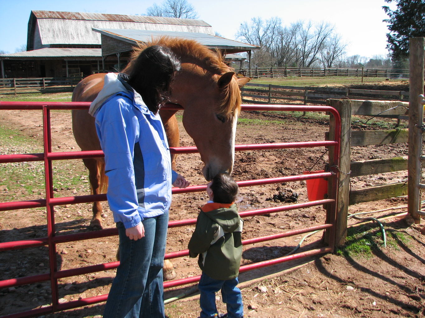 Visiting India at Silverthorn 
