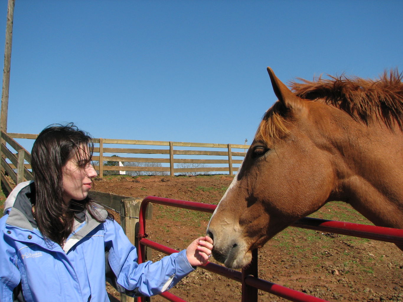 Visiting India at Silverthorn 
