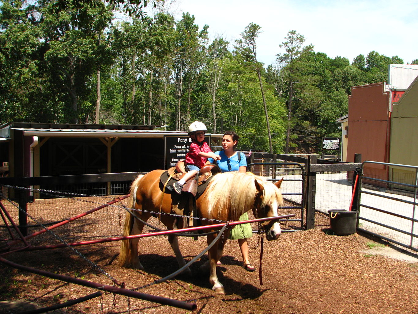 James and B go to Tanglewood Farm
