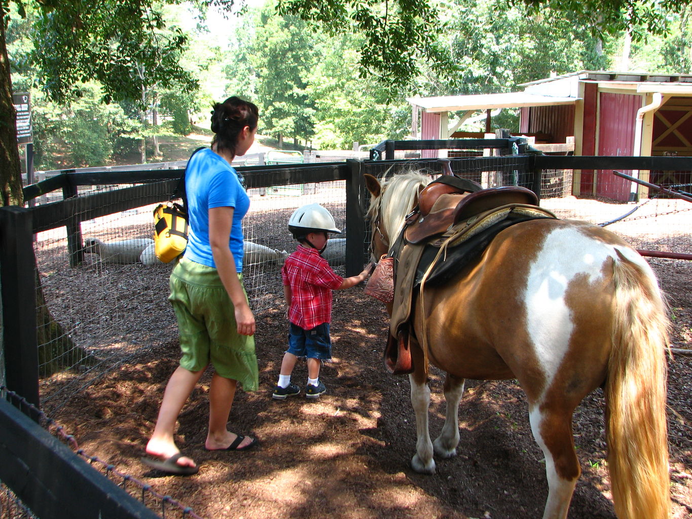 James and B go to Tanglewood Farm
