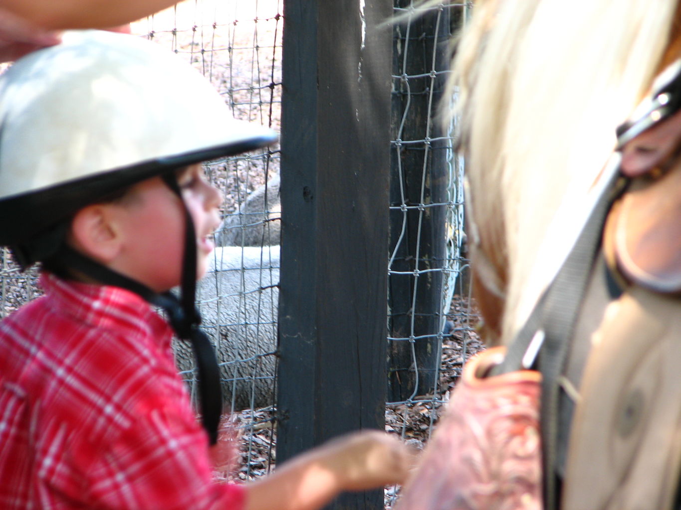 James and B go to Tanglewood Farm
