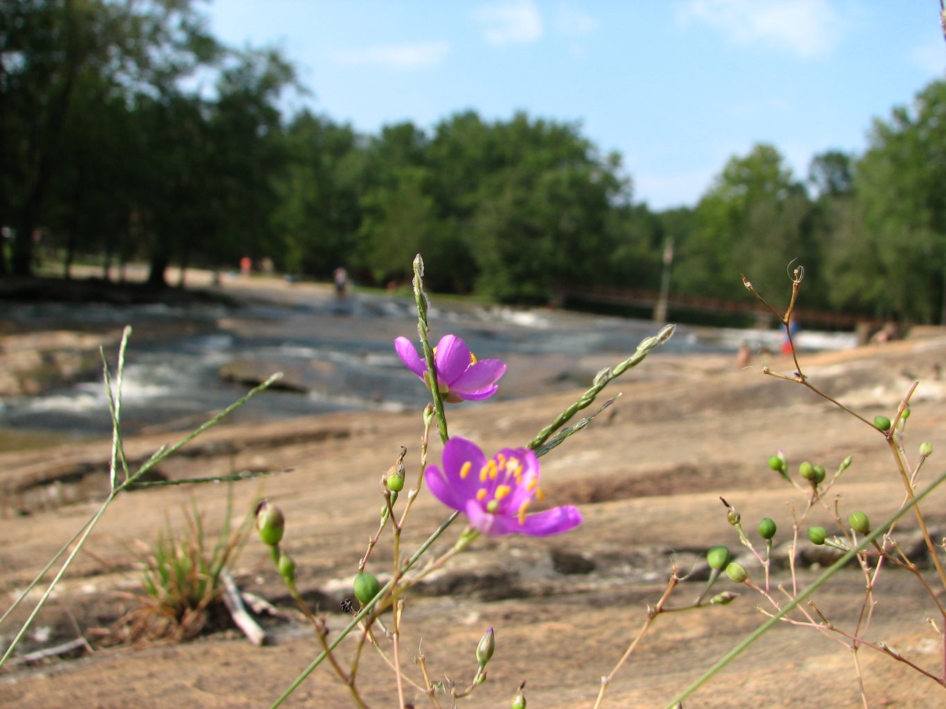 Visit to Hurricane Shoals Park
