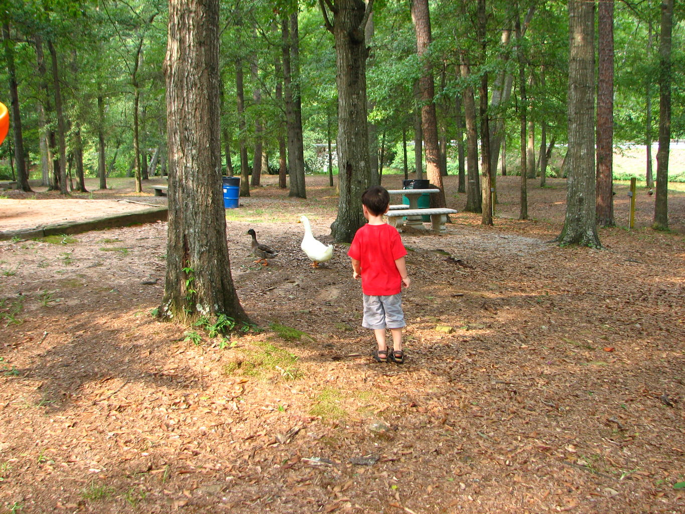 Visit to Hurricane Shoals Park
