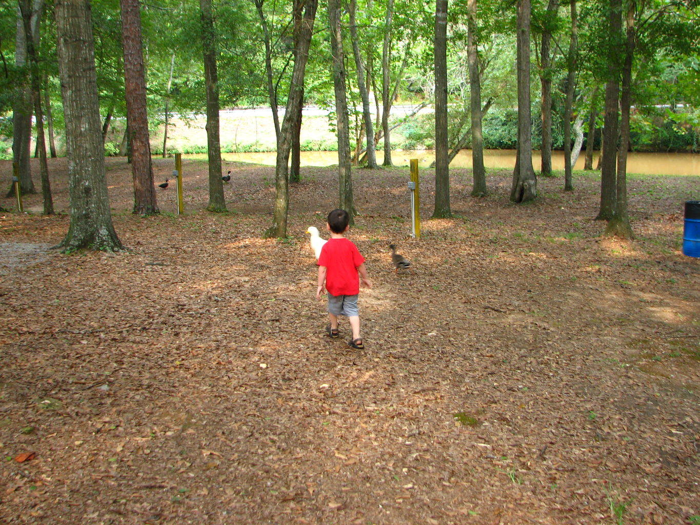 Visit to Hurricane Shoals Park
