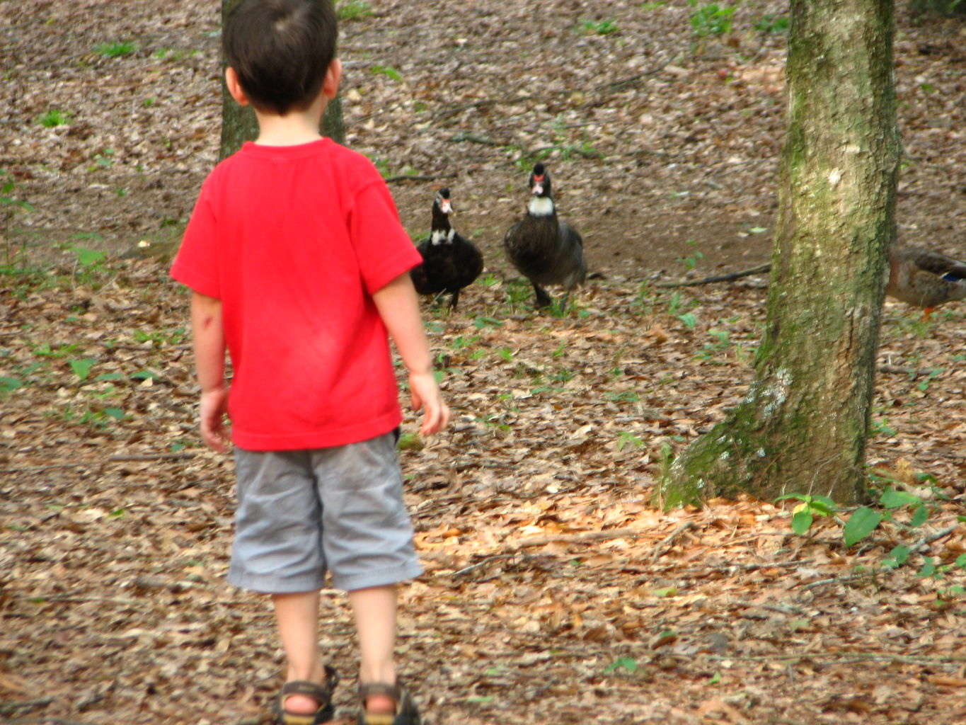 Visit to Hurricane Shoals Park
