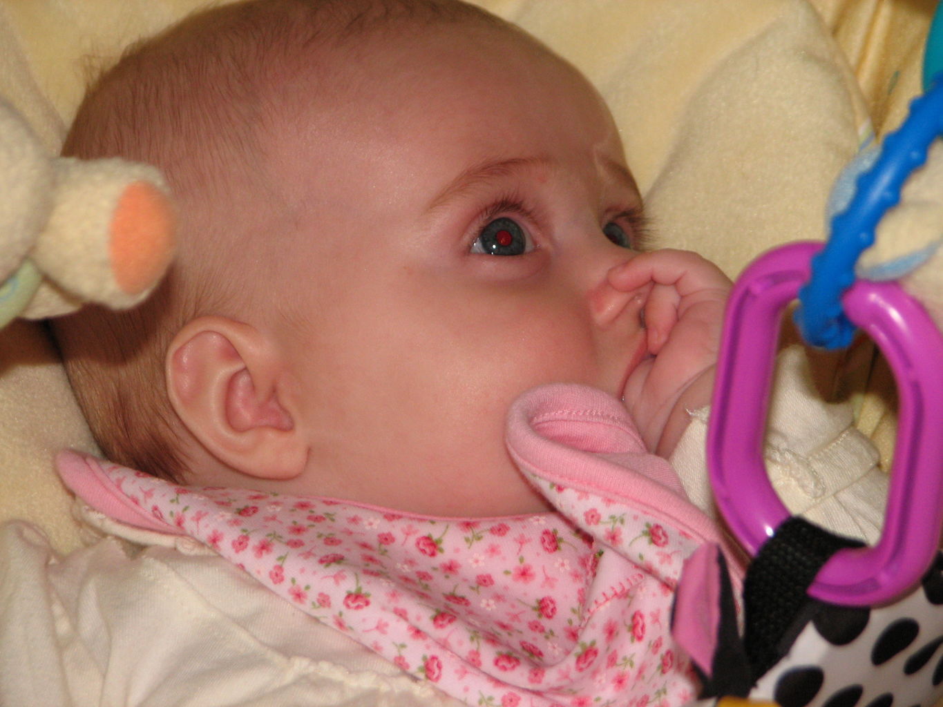 Hazel Finds her Thumb
