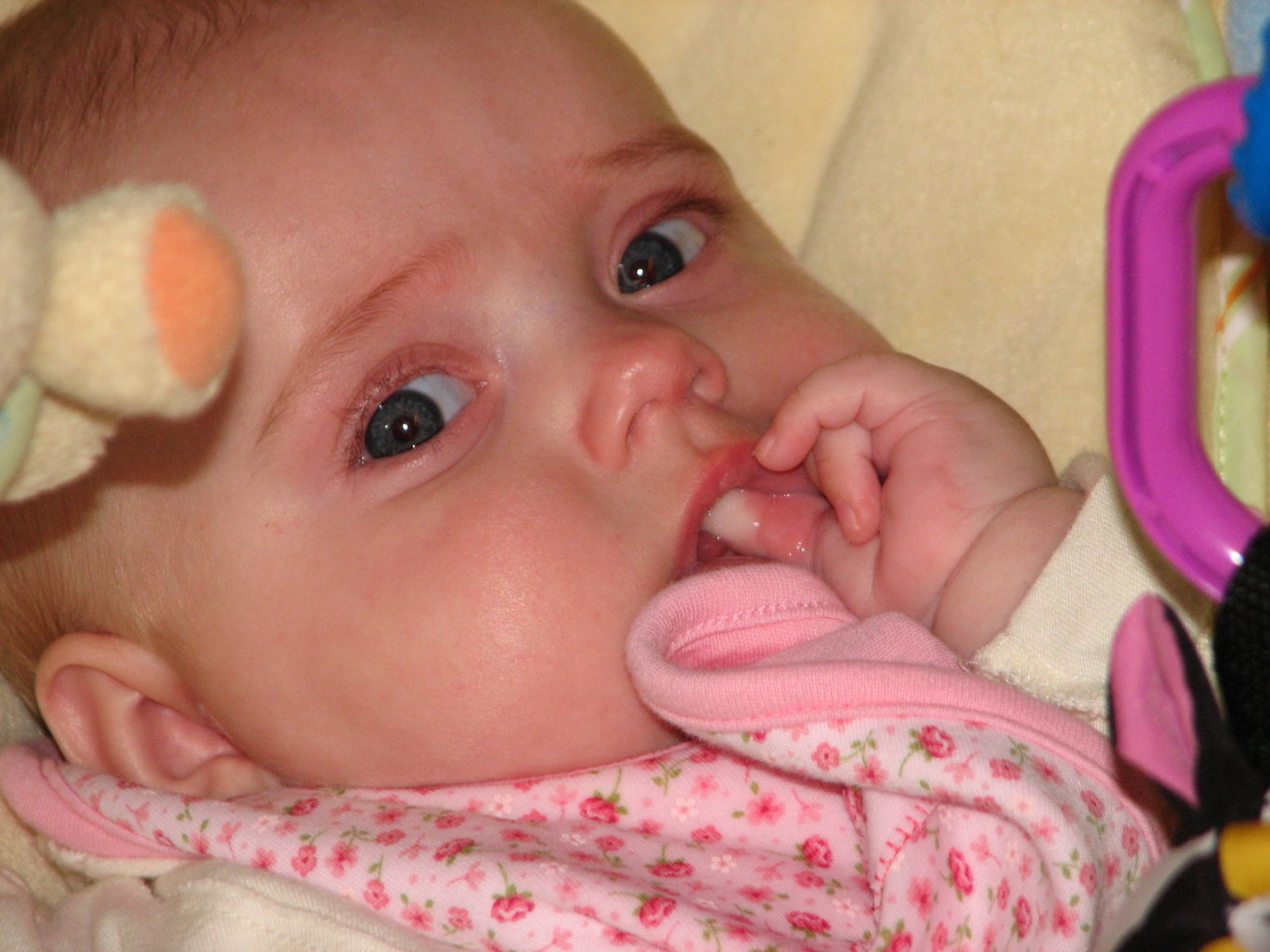 Hazel Finds her Thumb
