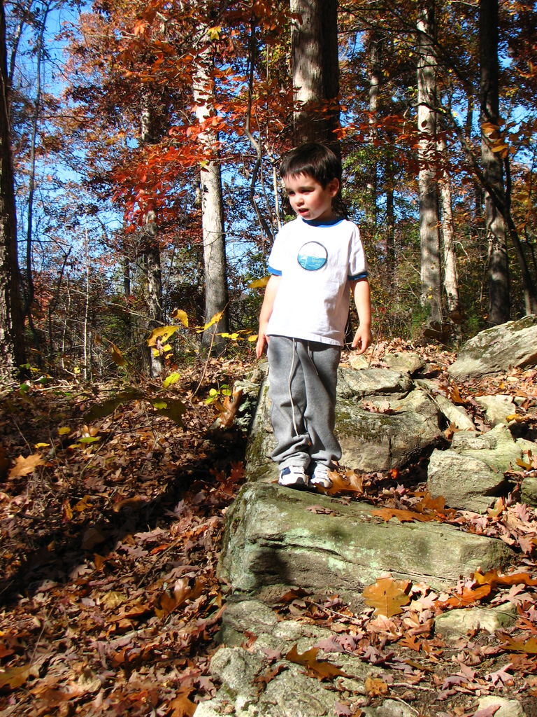 Fall Pictures of James
