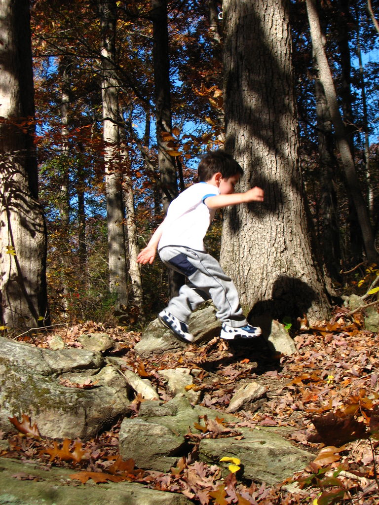 Fall Pictures of James
