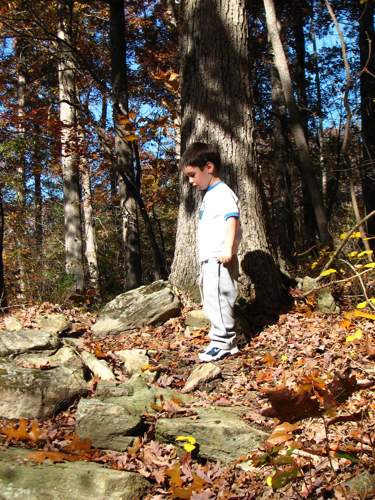 Fall Pictures of James
