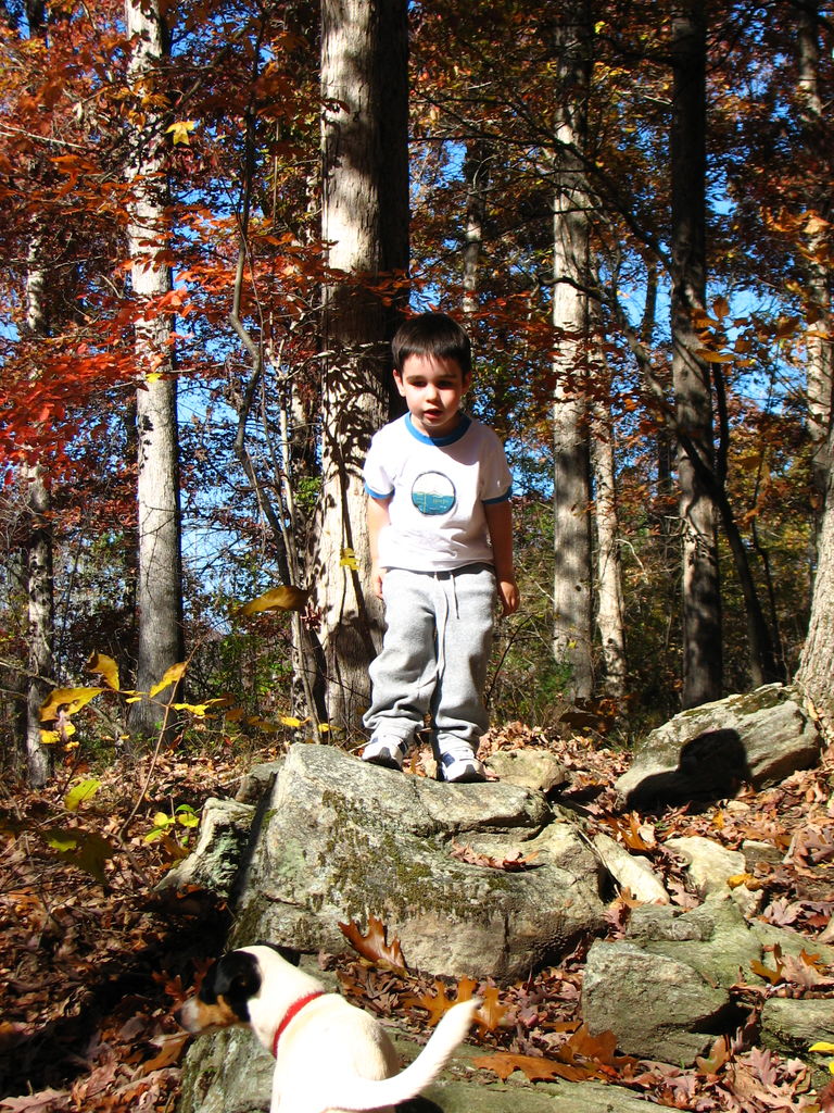 Fall Pictures of James
