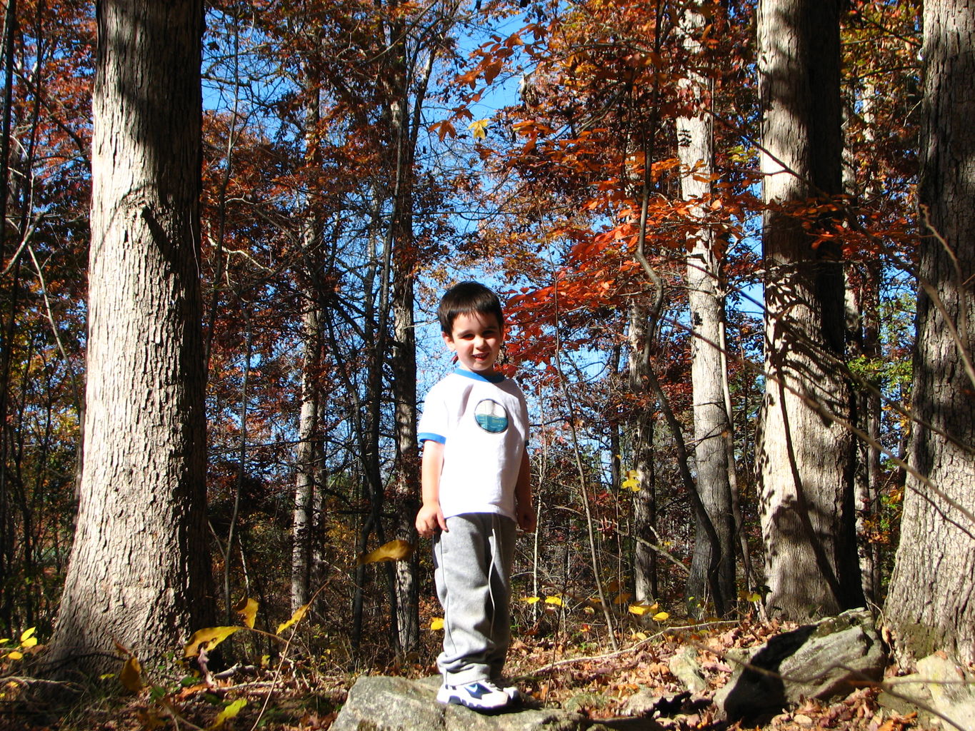 Fall Pictures of James
