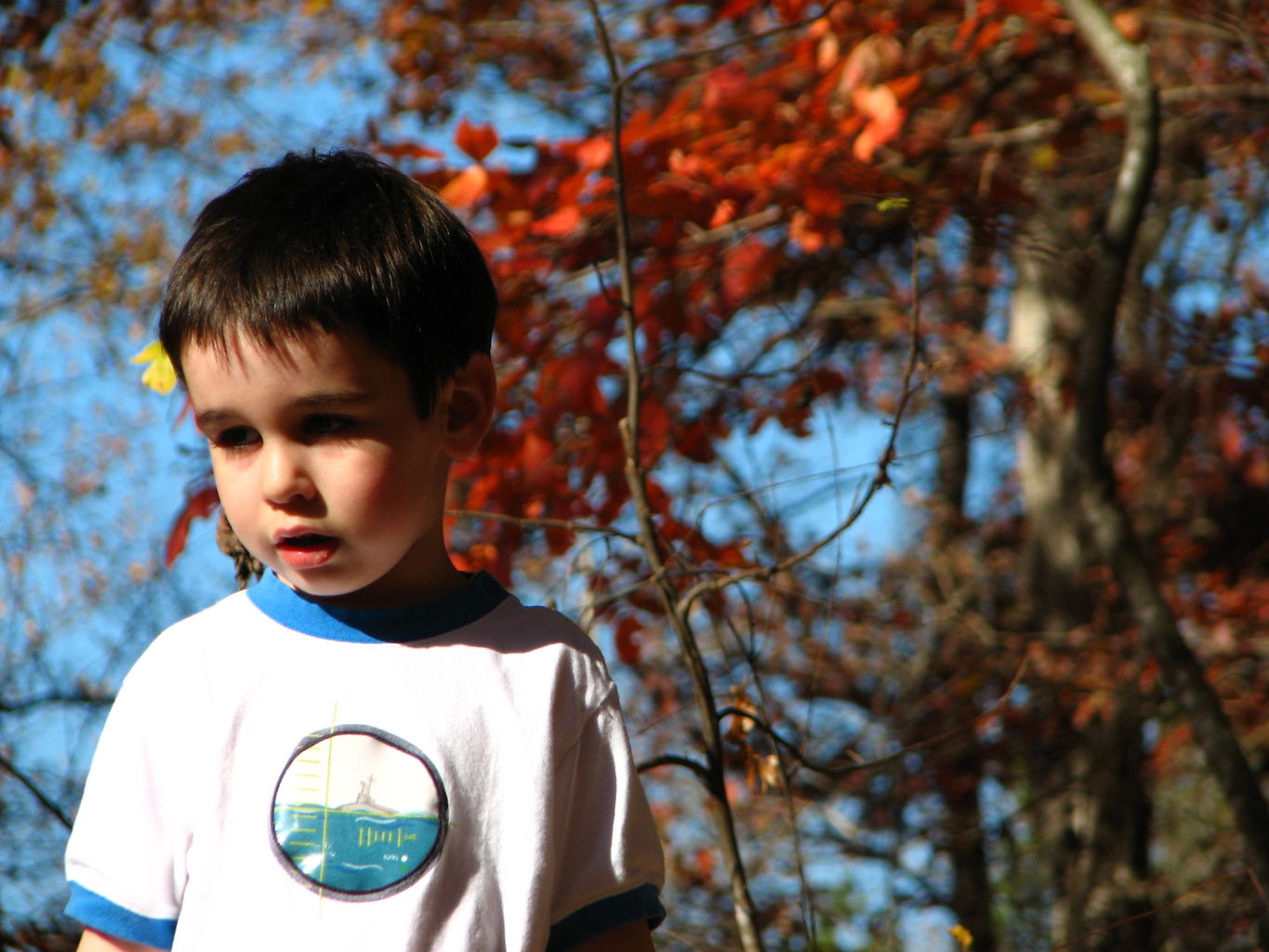 Fall Pictures of James
