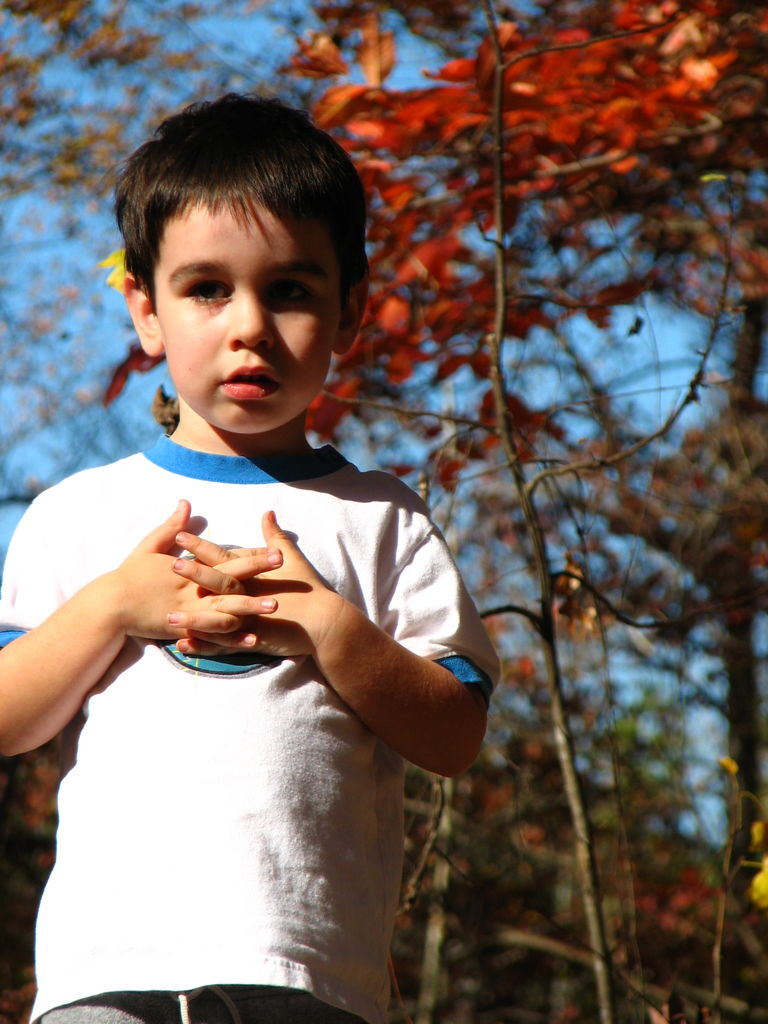 Fall Pictures of James
