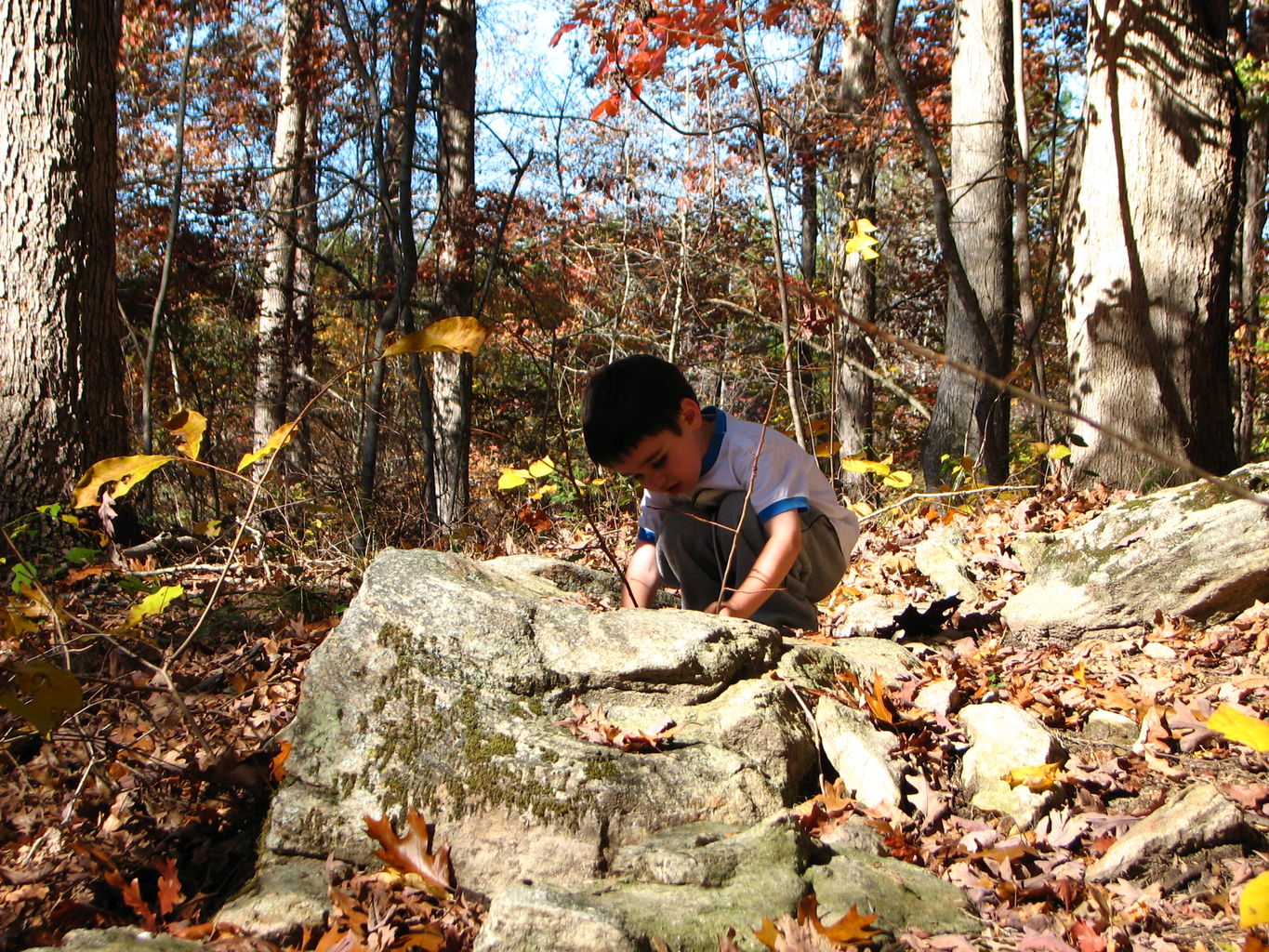 Fall Pictures of James
