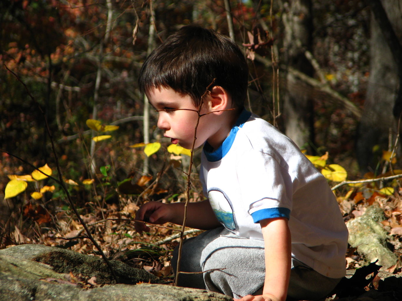 Fall Pictures of James
