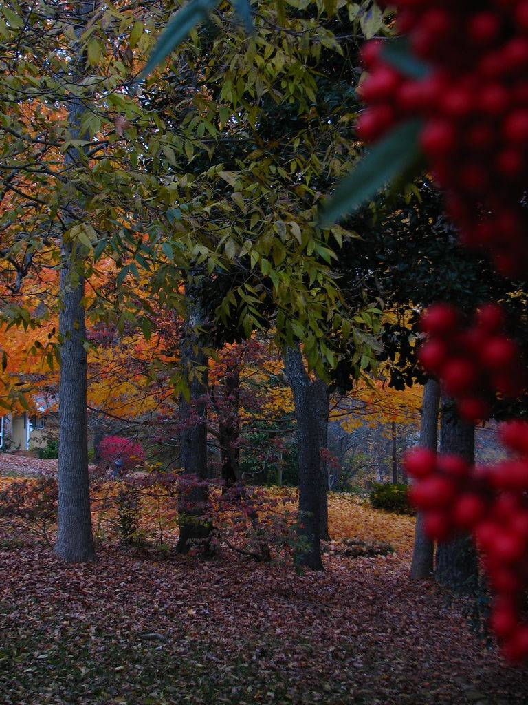 Fall Day at the Gradys'
