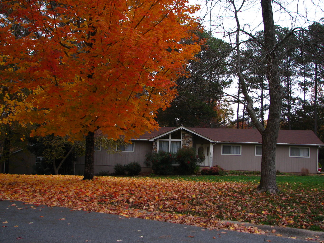 Fall Day at the Gradys'
