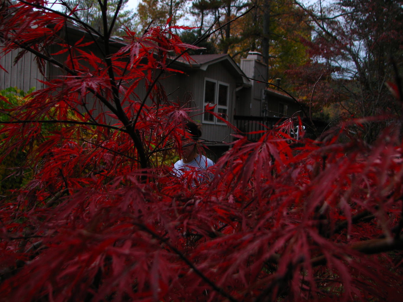 Fall Day at the Gradys'
