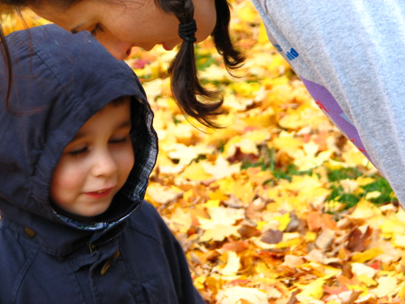 Fall Day at the Gradys'
