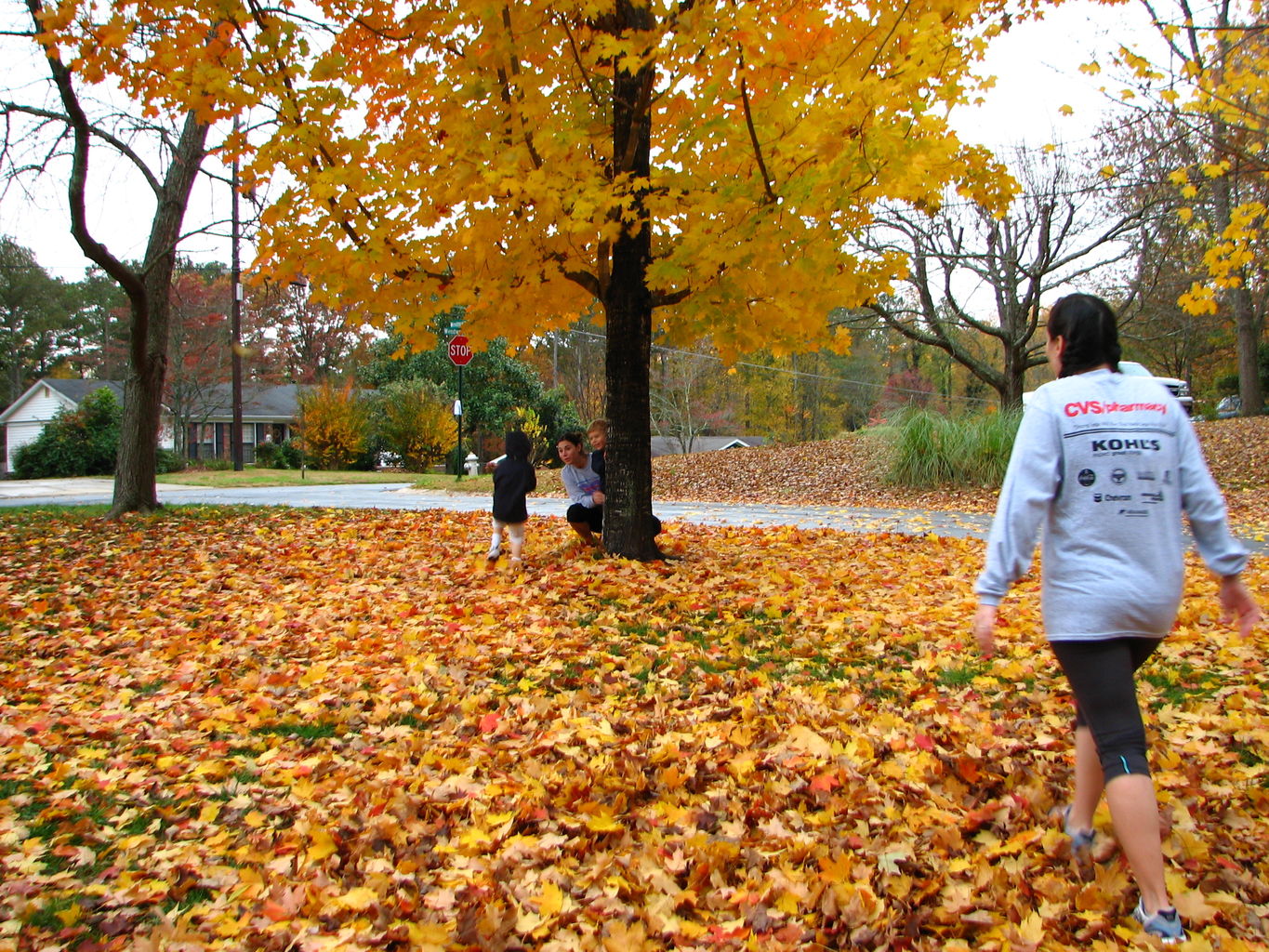 Fall Day at the Gradys'
