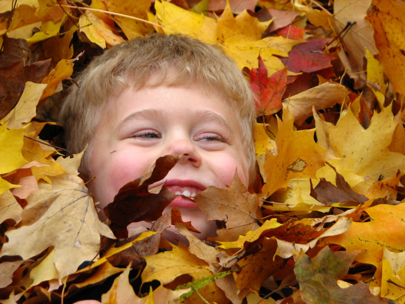 Fall Day at the Gradys'
