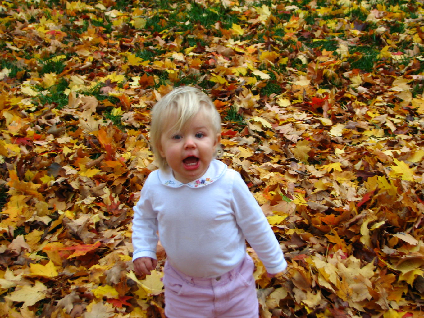 Fall Day at the Gradys'
