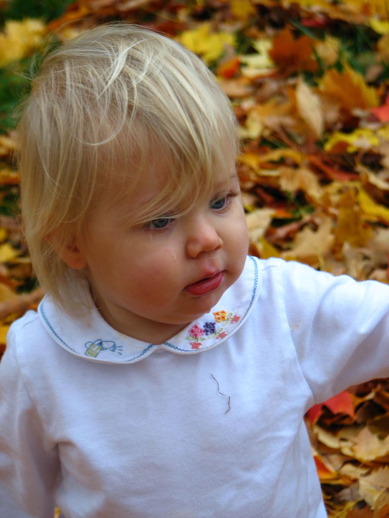 Fall Day at the Gradys'
