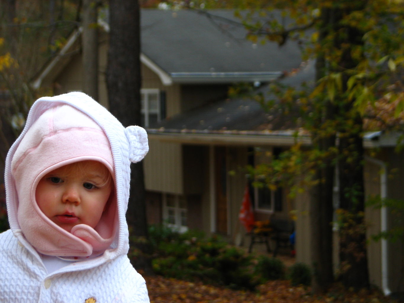 Fall Day at the Gradys'
