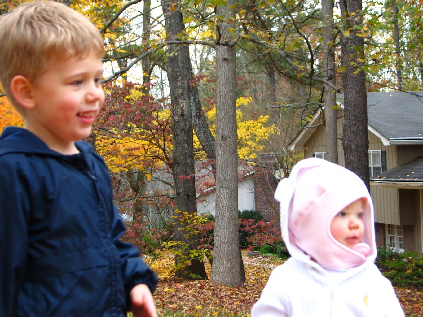 Fall Day at the Gradys'
