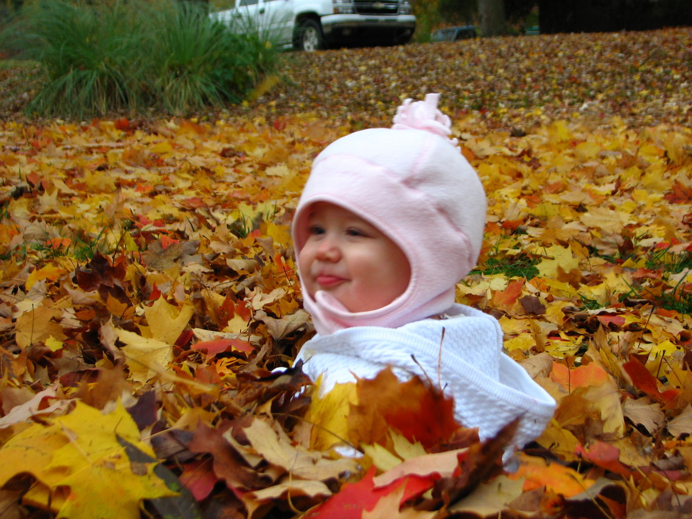 Fall Day at the Gradys'
