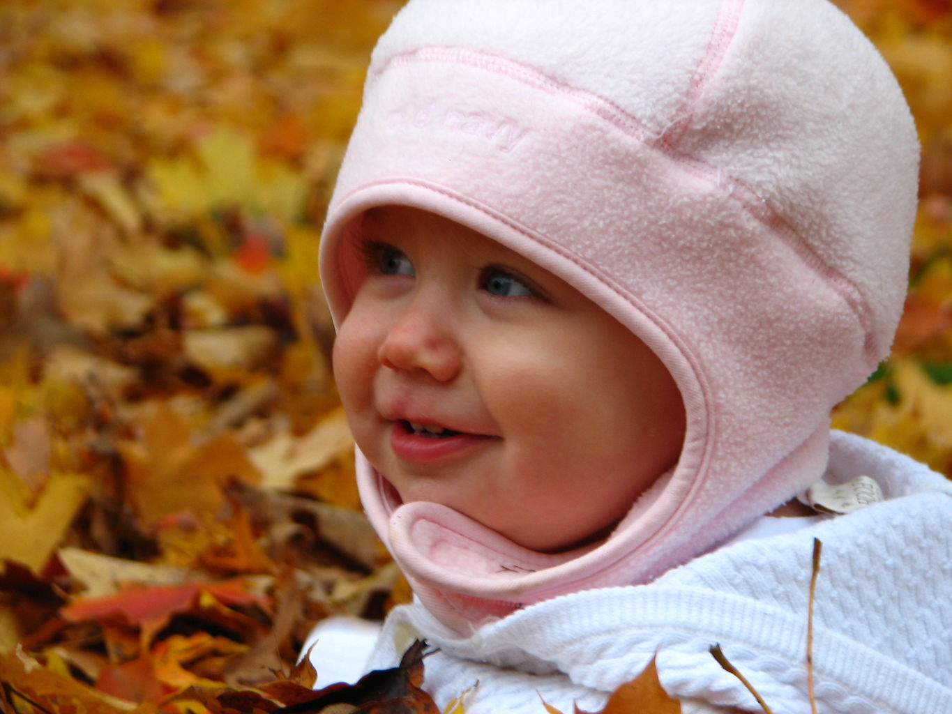 Fall Day at the Gradys'
